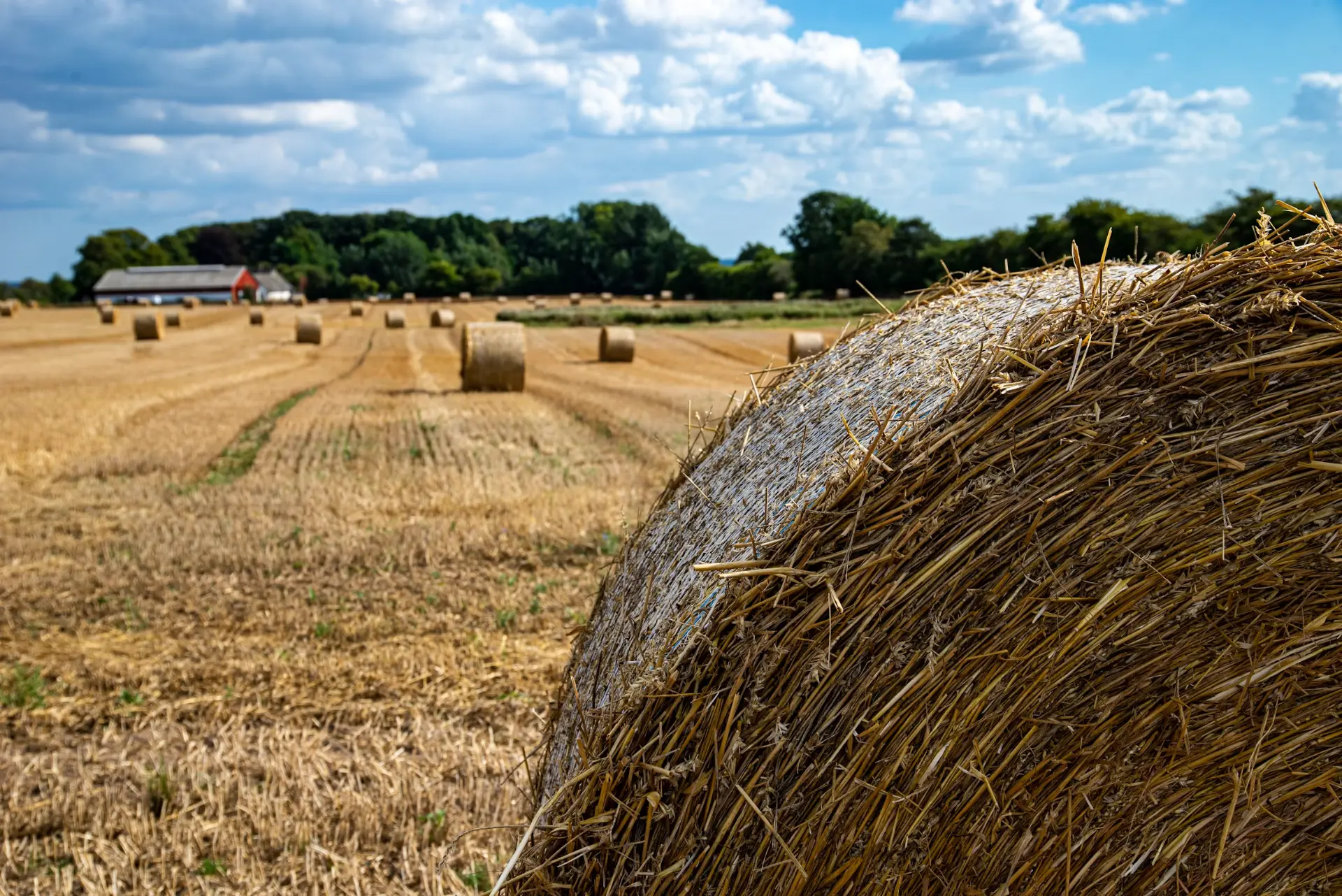 Farm & Ranch